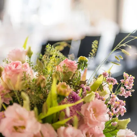 Zur Sonne - - Restaurant - Boutique 3* Gossau (St. Gallen)